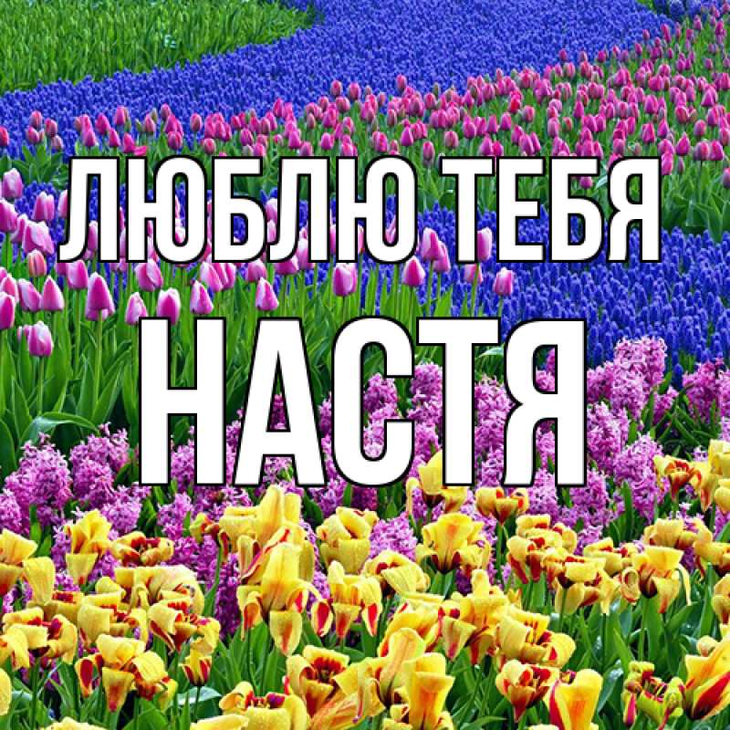 Картинка Люблю тебя, Настя