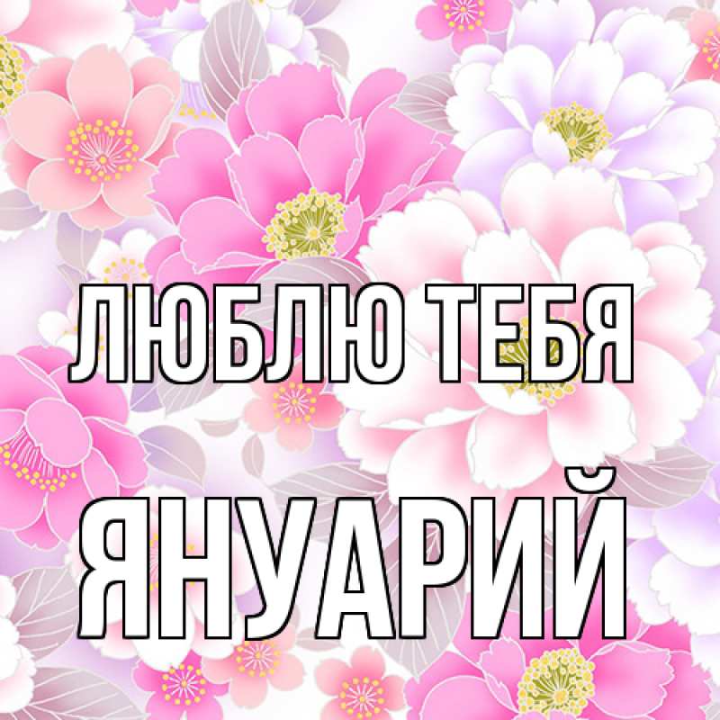 Картинка Люблю тебя, Януарий