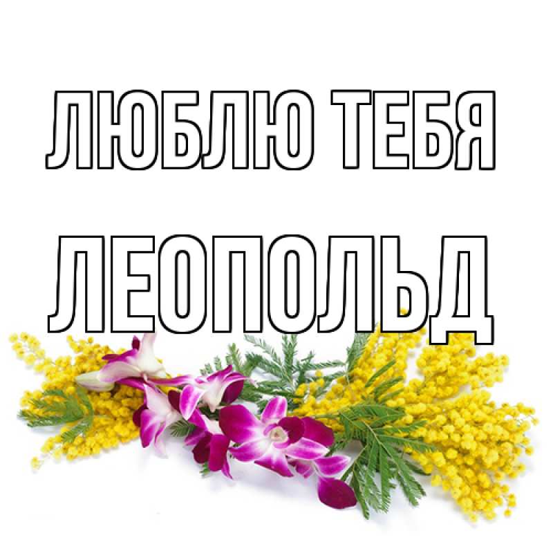 Картинка Люблю тебя, Леопольд