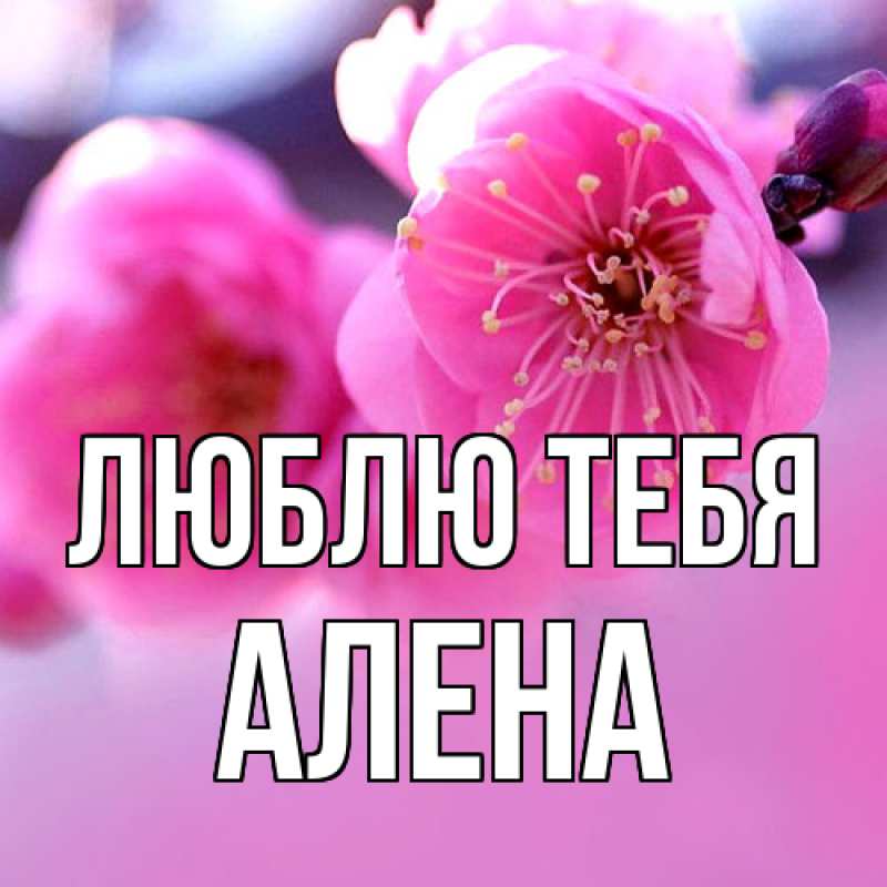 Открытка с именем, Алена, Люблю тебя