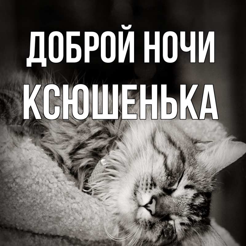 Картинка Доброй ночи, Ксюшенька