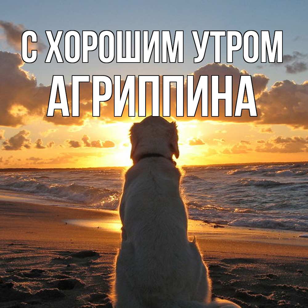 Открытка на каждый день с именем, Агриппина С хорошим утром восход солнца Прикольная открытка с пожеланием онлайн скачать бесплатно 