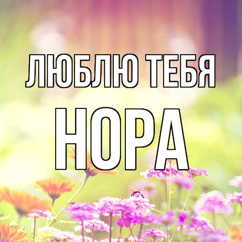 Открытка с именем, Нора, Люблю тебя