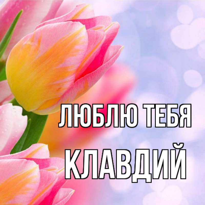 Картинка Люблю тебя, Клавдий