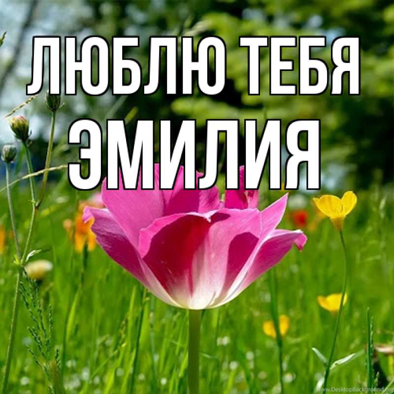 Открытка с именем, Эмилия, Люблю тебя