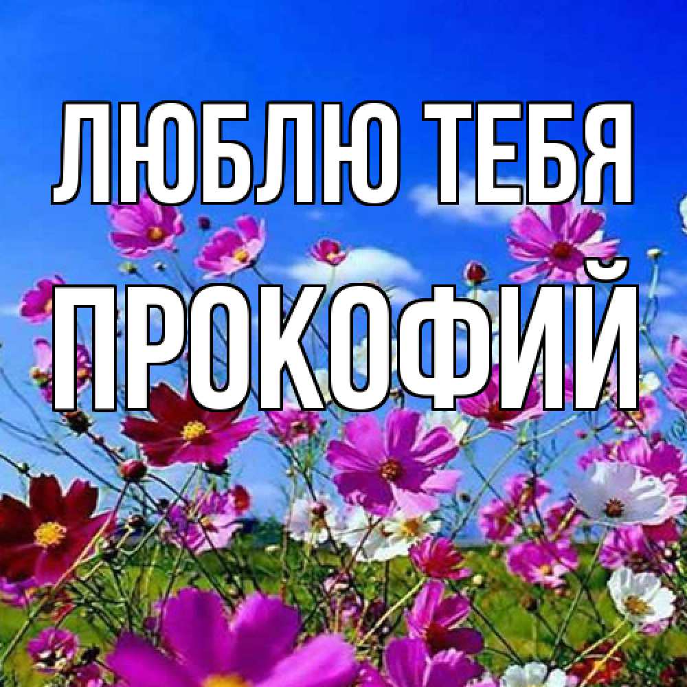 Открытка на каждый день с именем, Прокофий Люблю тебя цветы Прикольная открытка с пожеланием онлайн скачать бесплатно 