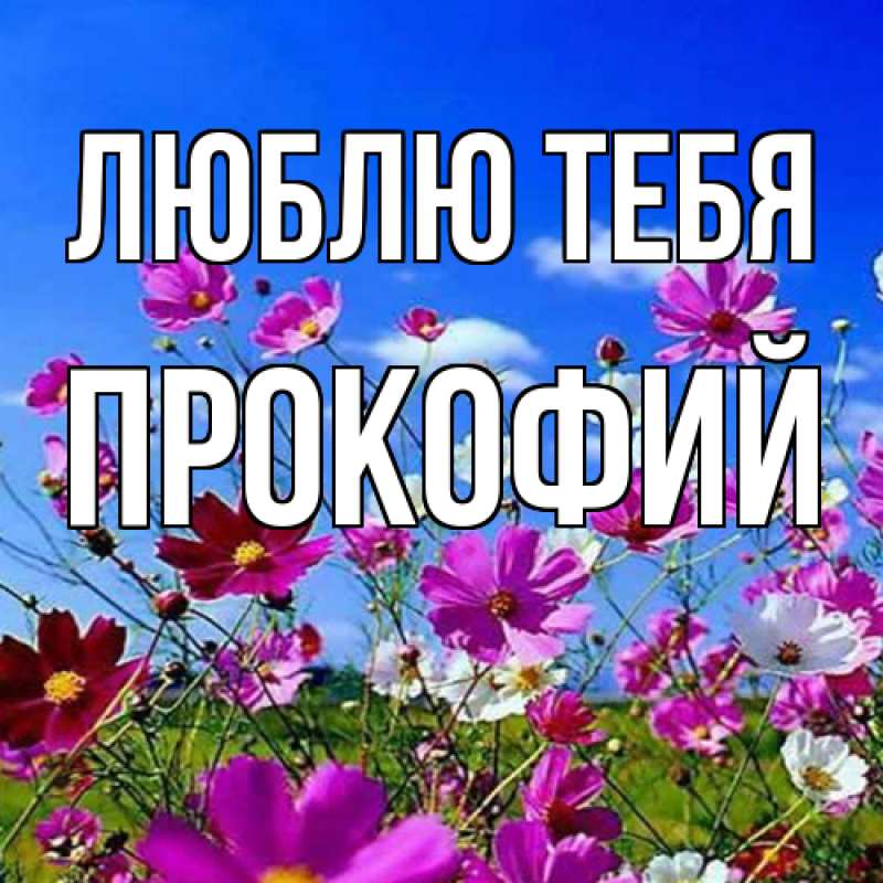 Картинка Люблю тебя, Прокофий