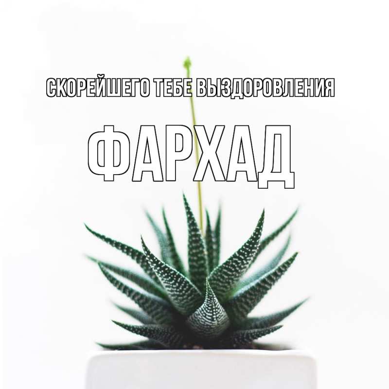 Картинка Скорейшего тебе выздоровления, Фархад
