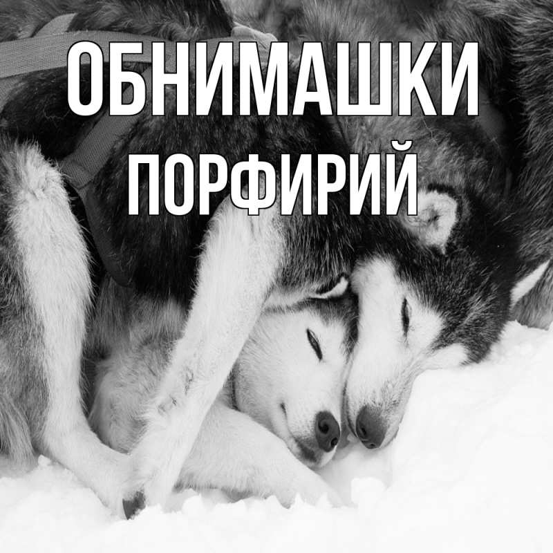 Картинка Обнимашки, Порфирий