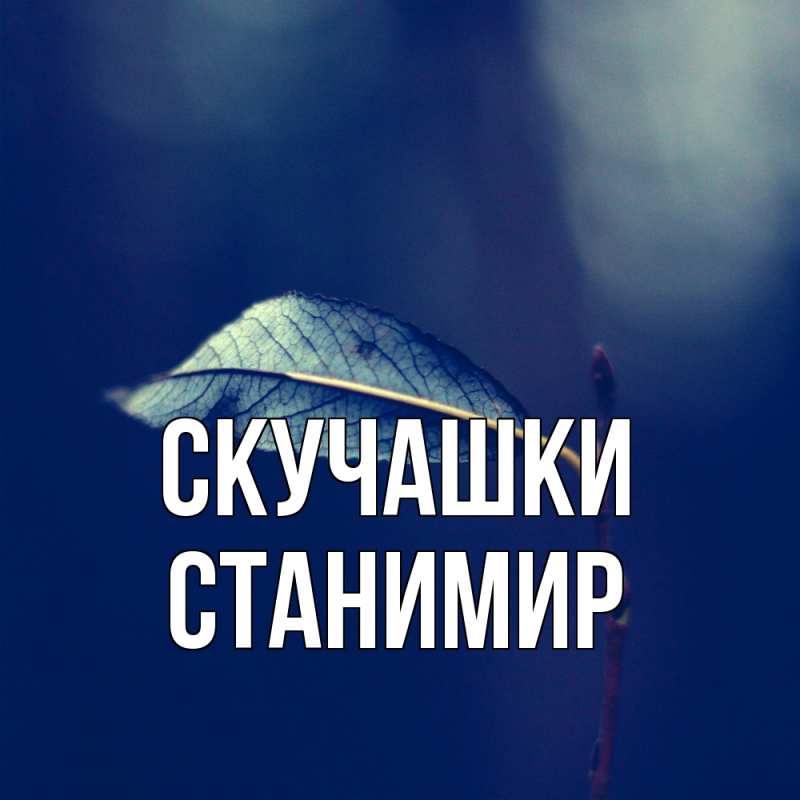 Открытка с именем, Станимир, Скучашки