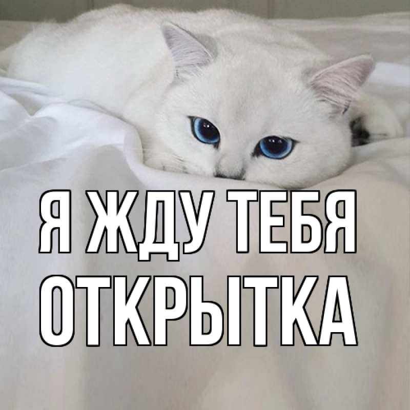 Картинка Я жду тебя, открытка