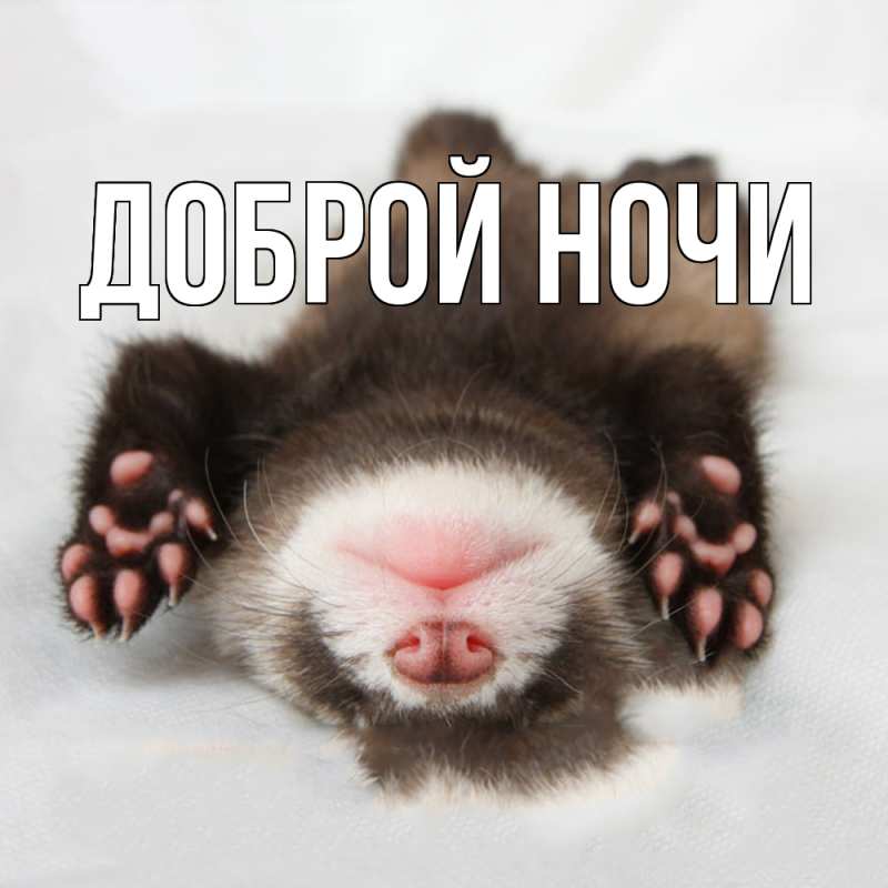 Картинка Доброй ночи, 