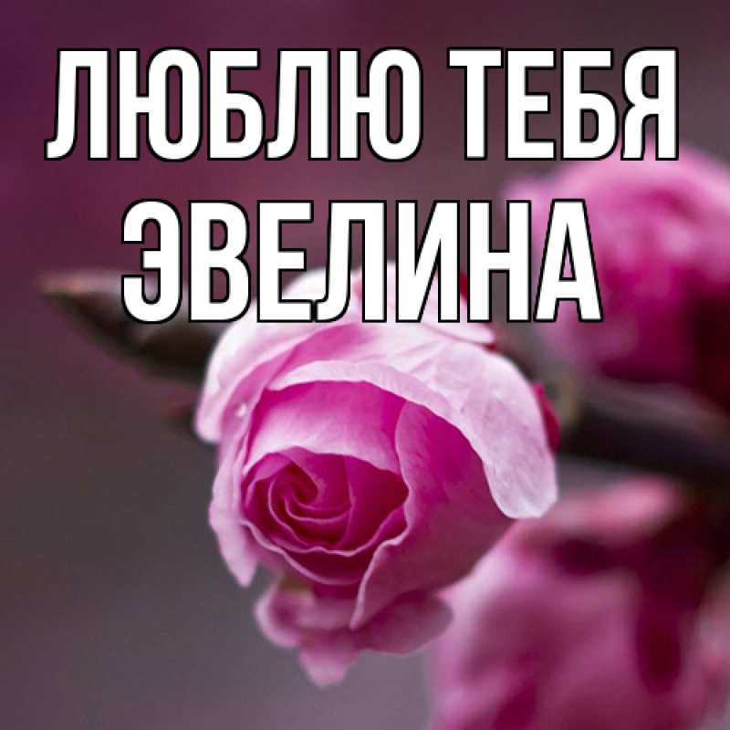 Открытка с именем, Эвелина, Люблю тебя