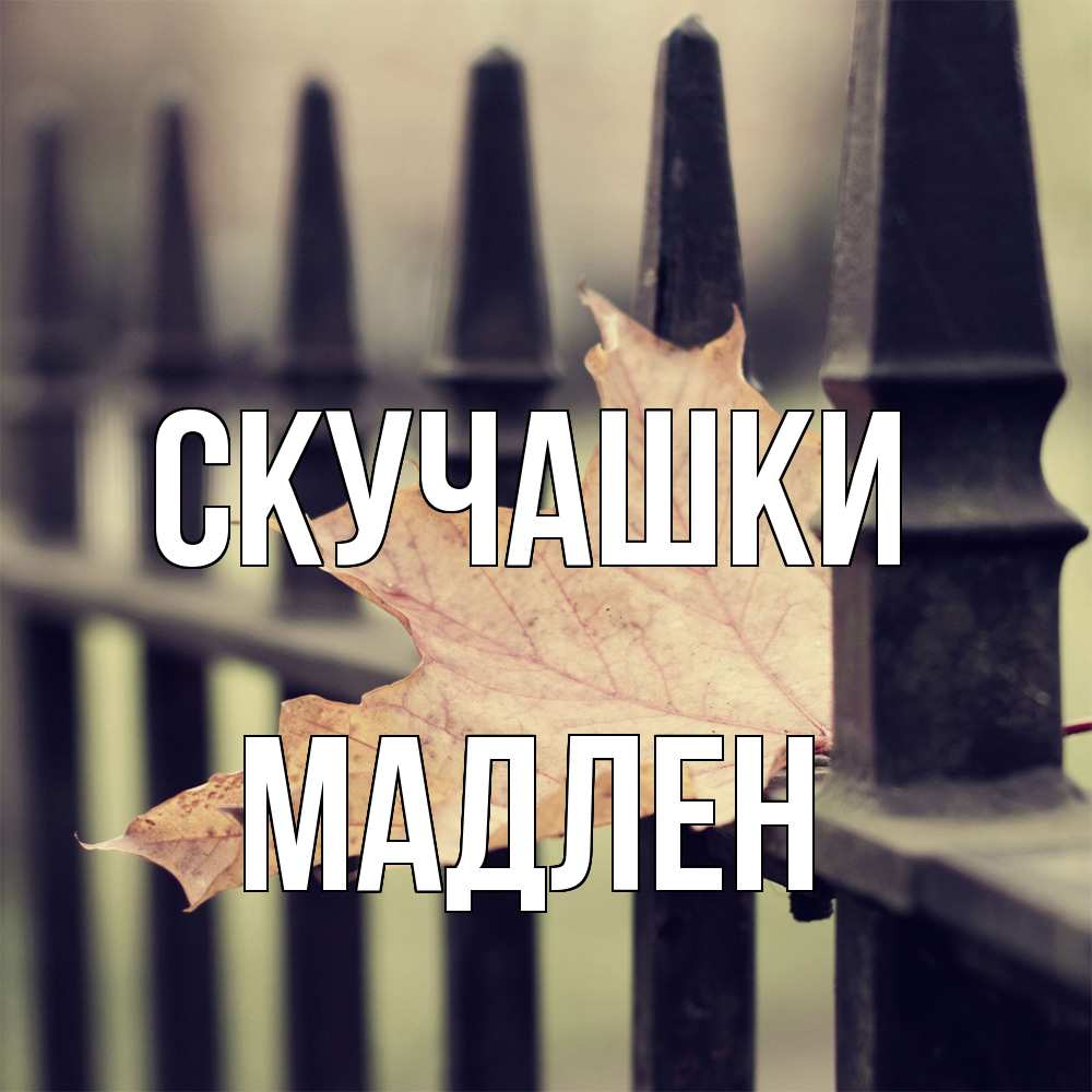 Открытка на каждый день с именем, Мадлен Скучашки очень скучно Прикольная открытка с пожеланием онлайн скачать бесплатно 
