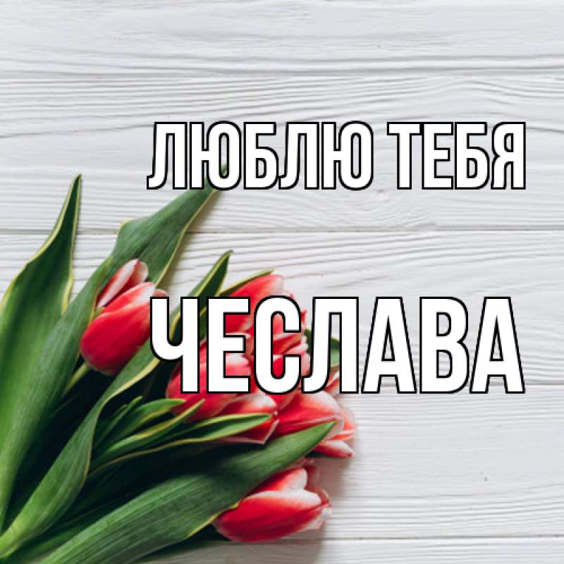 Картинка Люблю тебя, Чеслава