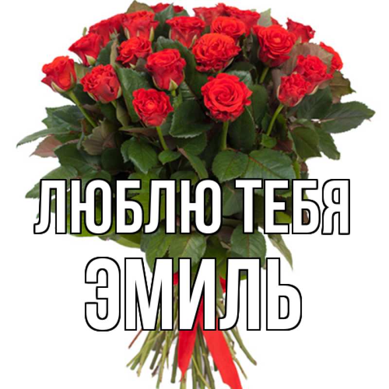 Картинка Люблю тебя, Эмиль