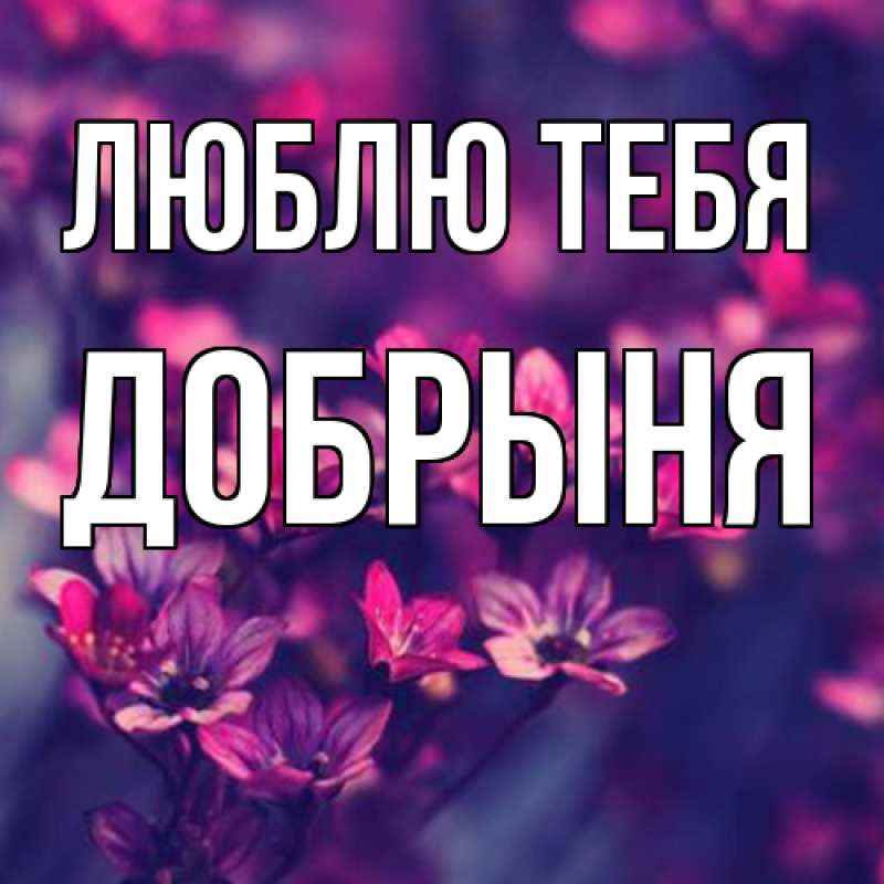 Картинка Люблю тебя, Добрыня