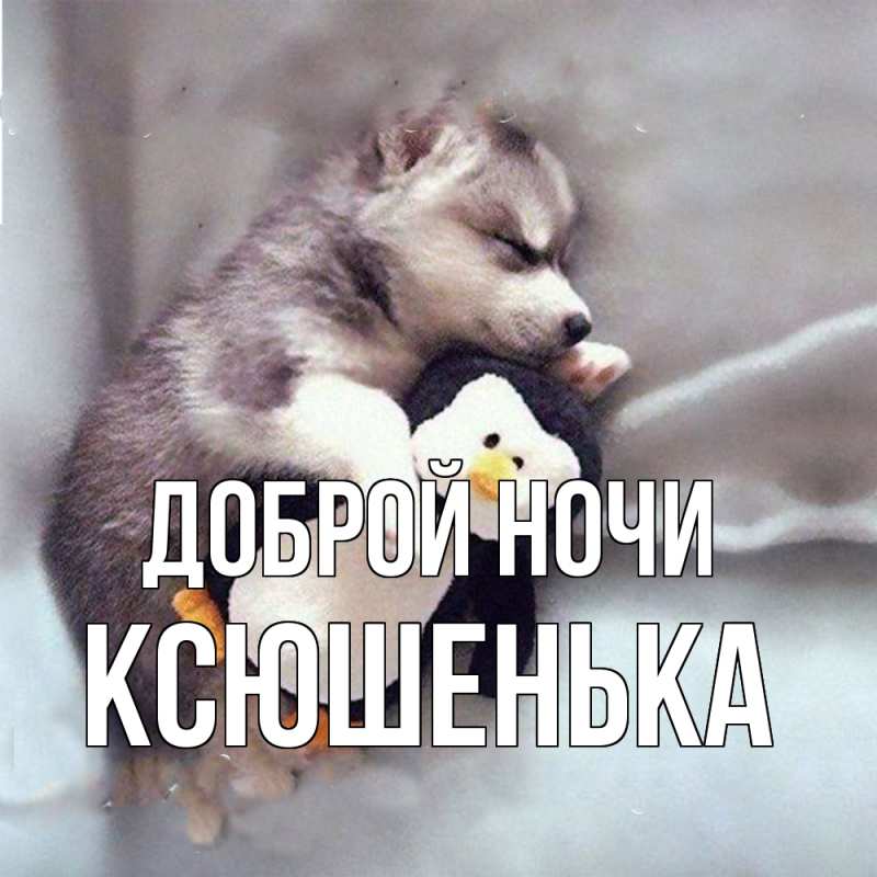 Картинка Доброй ночи, Ксюшенька