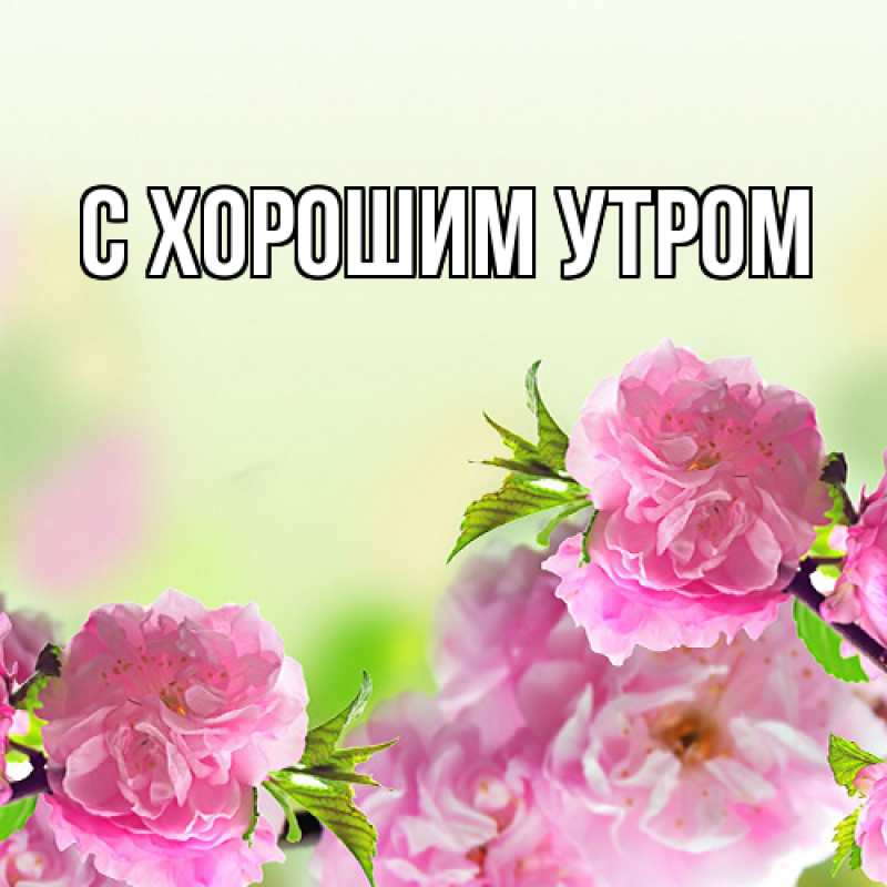 Картинка Люблю тебя, Гуля