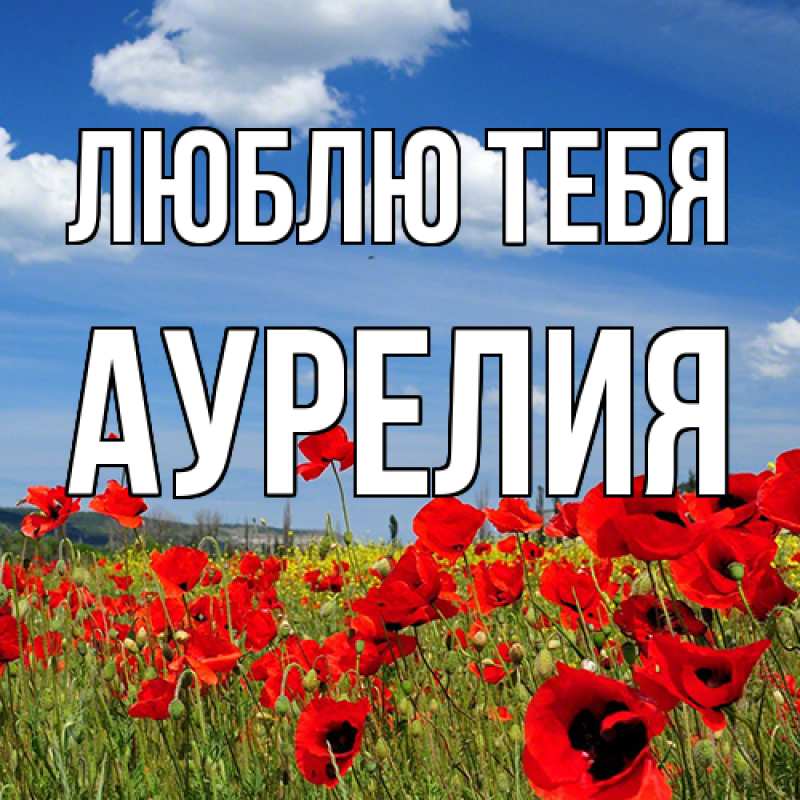 Картинка Люблю тебя, Аурелия