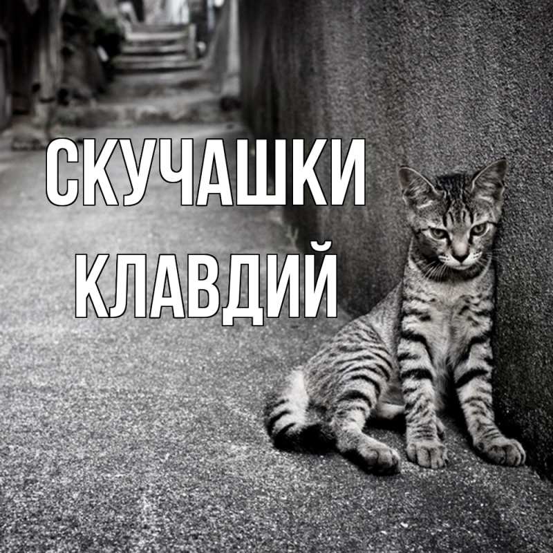 Картинка Скучашки, Клавдий