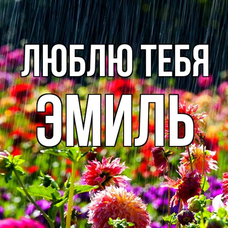 Картинка Люблю тебя, Эмиль