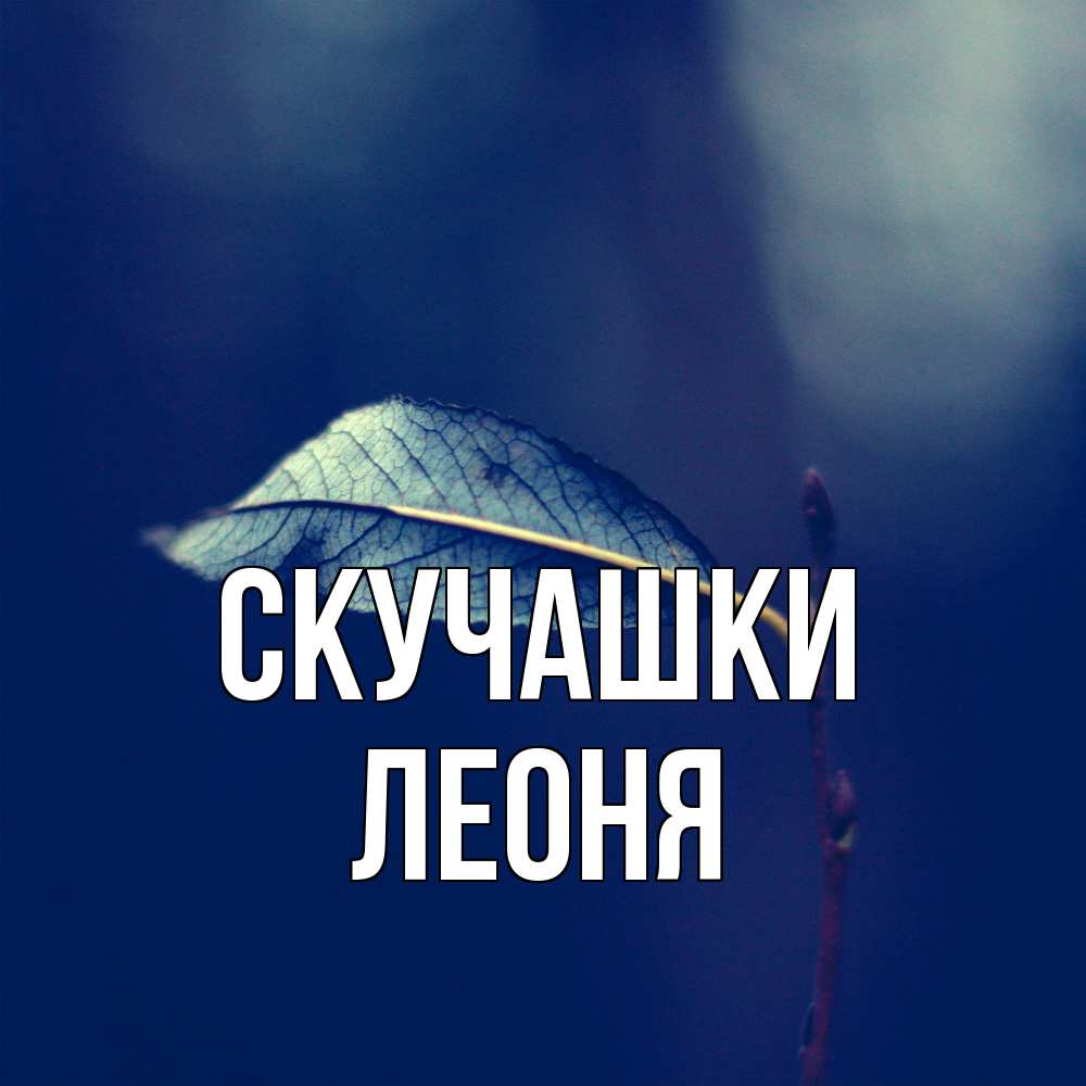 Открытка на каждый день с именем, Леоня Скучашки одна ветка 1 Прикольная открытка с пожеланием онлайн скачать бесплатно 