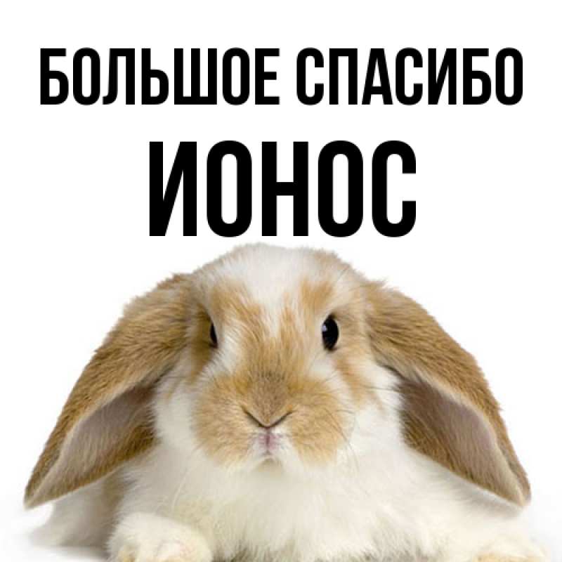 Картинка Большое спасибо, Ионос