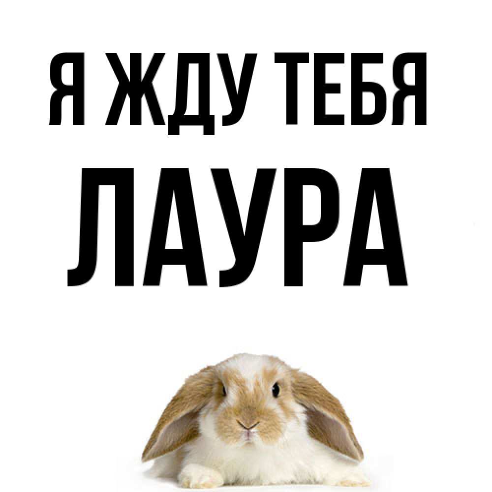 Открытка на каждый день с именем, Лаура Я жду тебя подписать своими руками онлайн Прикольная открытка с пожеланием онлайн скачать бесплатно 