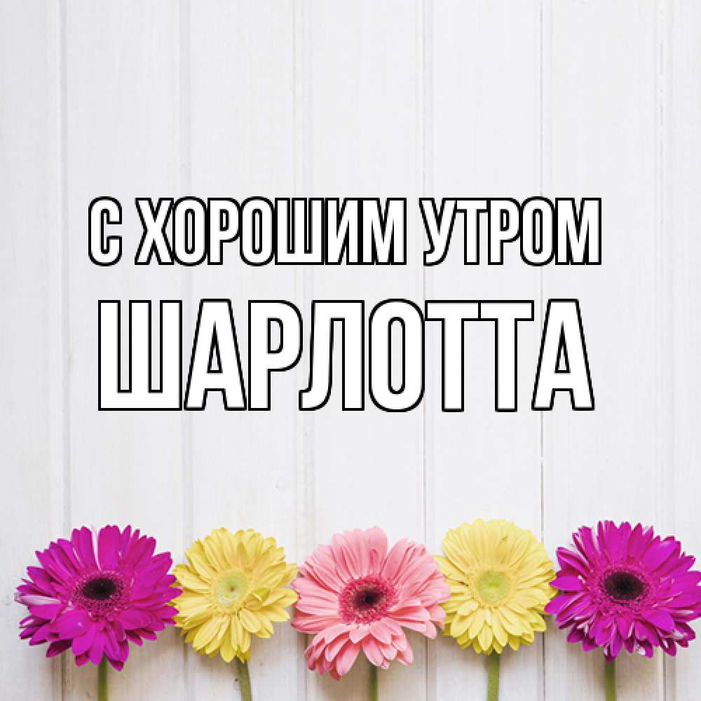 Открытка на каждый день с именем, Шарлотта С хорошим утром красный желтый и розовый цветок Прикольная открытка с пожеланием онлайн скачать бесплатно 