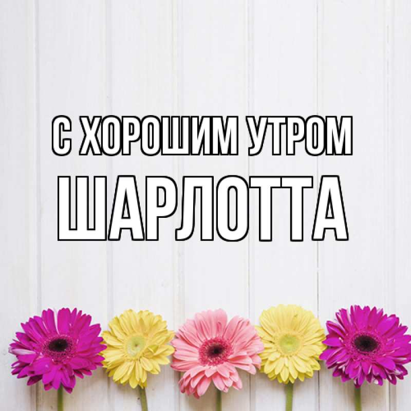 Картинка С хорошим утром, Шарлотта