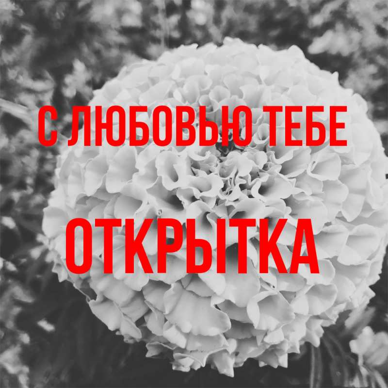 Картинка С любовью тебе, открытка