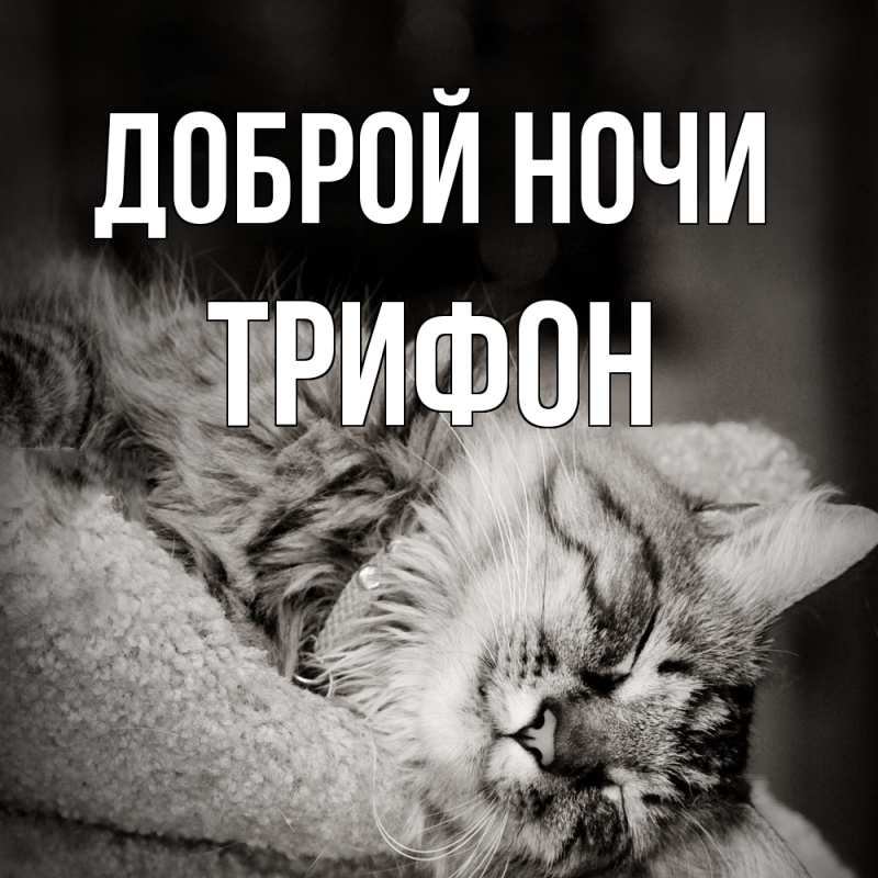 Картинка Доброй ночи, Трифон
