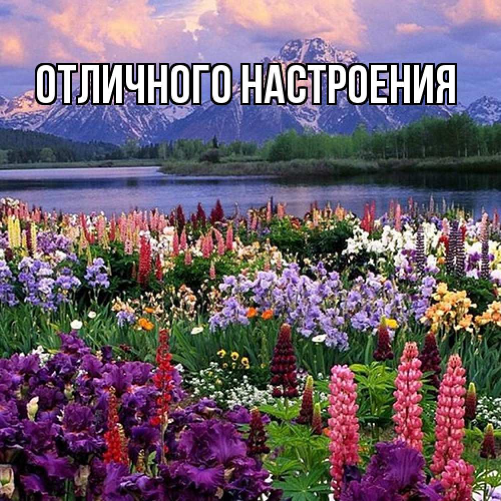 Открытка на каждый день с именем, Радосвета Люблю тебя международный женский день Прикольная открытка с пожеланием онлайн скачать бесплатно 