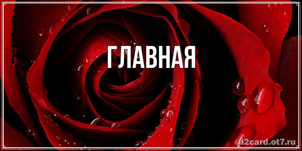 Открытка на каждый день с именем, Александра Главная крупная бордовая роза Прикольная открытка с пожеланием онлайн скачать бесплатно 