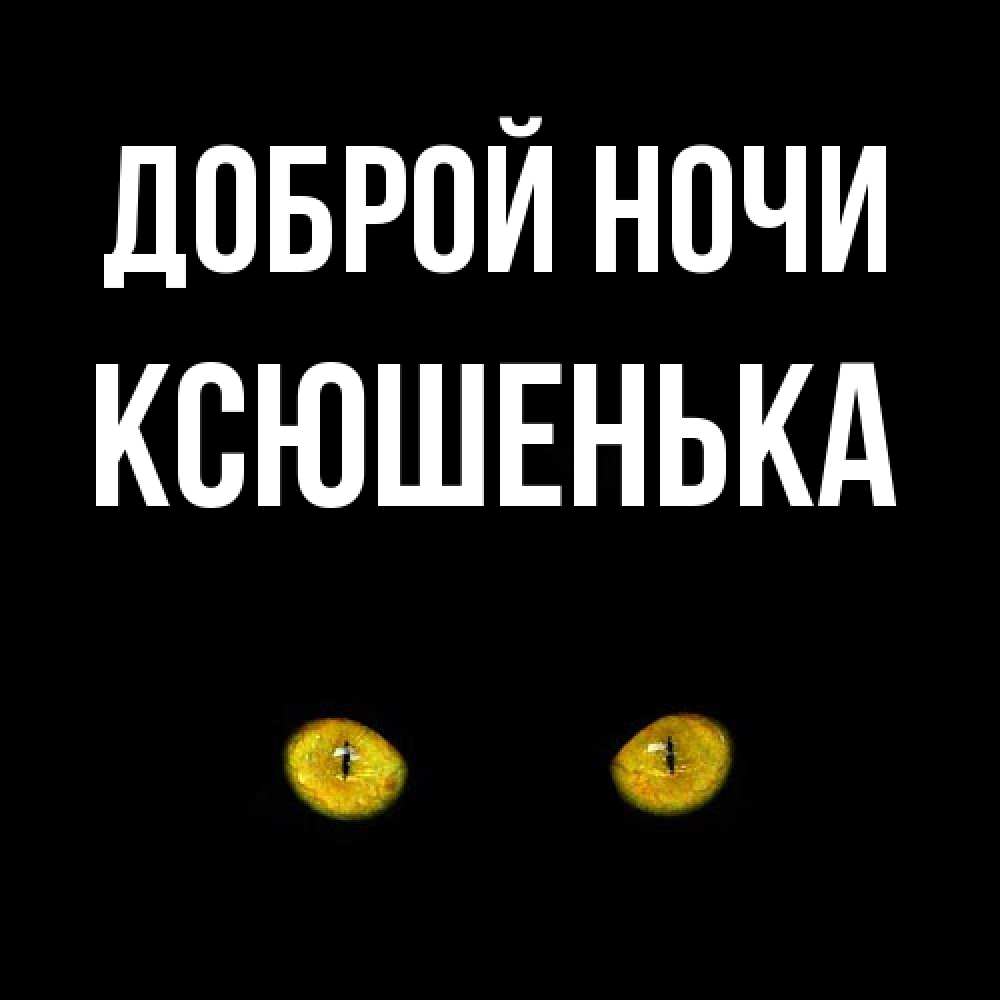 Открытка на каждый день с именем, Ксюшенька Доброй ночи сладких снов бесстрашный мой дружочек Прикольная открытка с пожеланием онлайн скачать бесплатно 