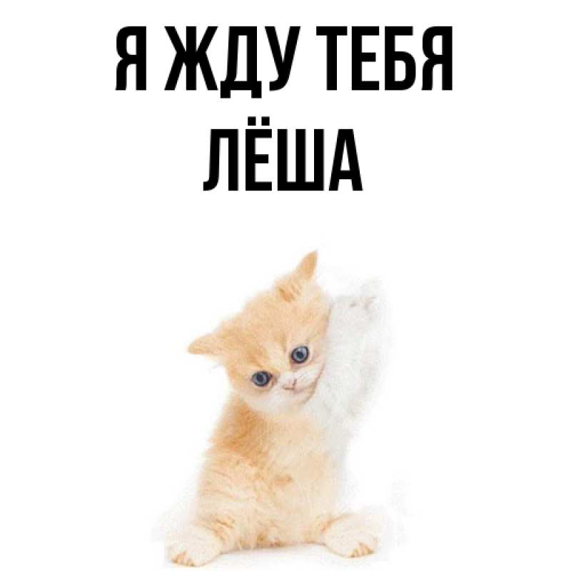 Открытка с именем, Лёша, Я жду тебя