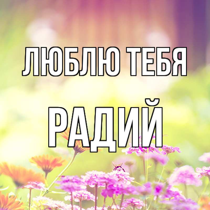 Картинка Люблю тебя, Радий