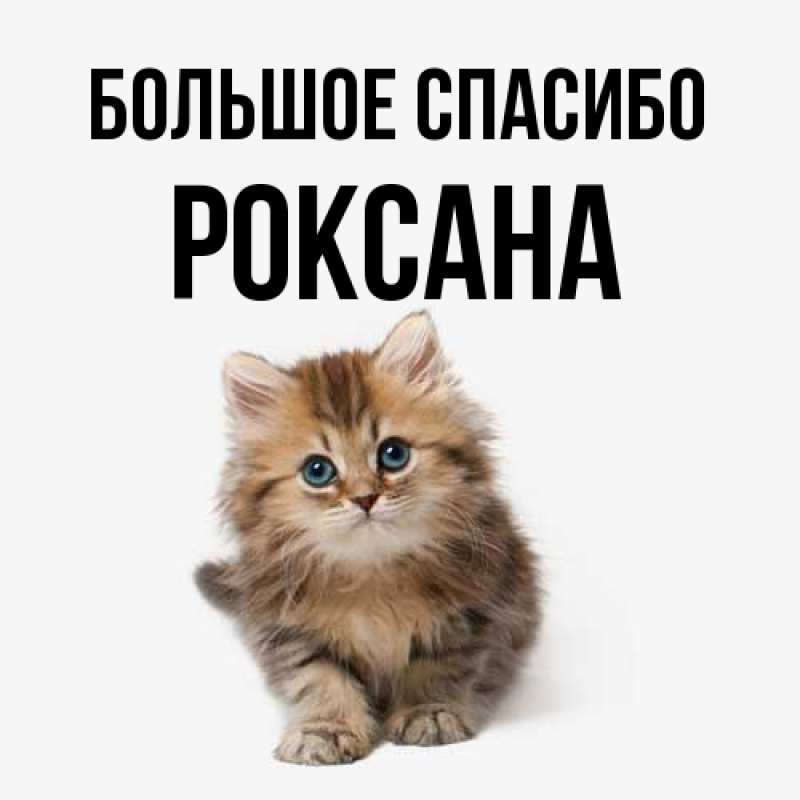 Картинка Большое спасибо, Роксана