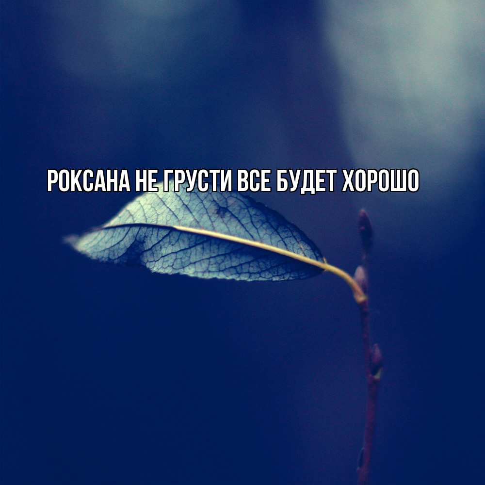 Открытка на каждый день с именем, Роксана Не грусти все будет хорошо растение Прикольная открытка с пожеланием онлайн скачать бесплатно 
