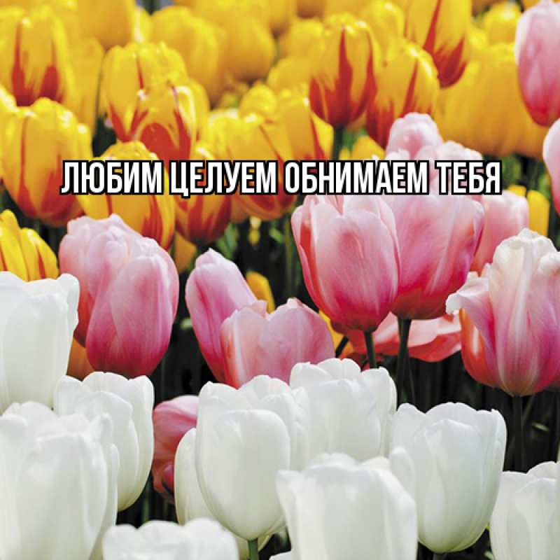 Картинка Люблю тебя, Ненаглядный мой