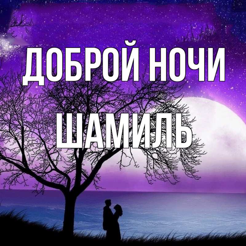 Картинка Доброй ночи, Шамиль