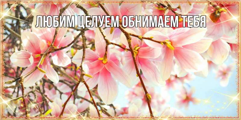 Картинка Люблю тебя, Ненаглядный мой