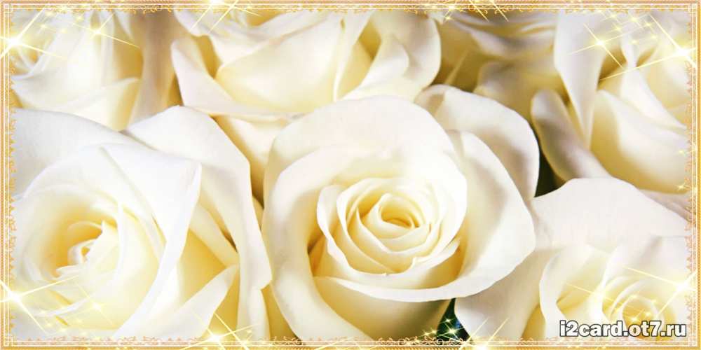 Открытка на каждый день с именем, Валентин C юбилеем розочки белого цвета на открытке Прикольная открытка с пожеланием онлайн скачать бесплатно 