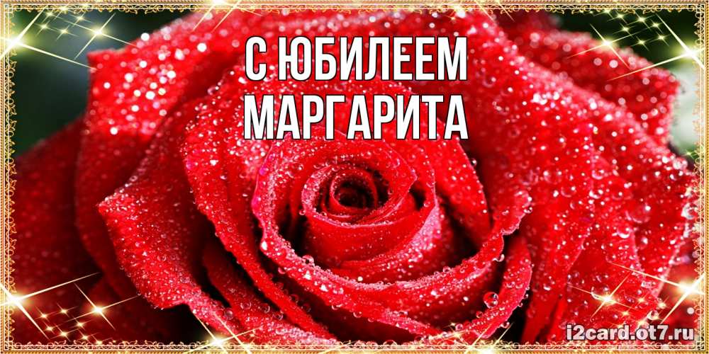 Открытка на каждый день с именем, Маргарита C юбилеем роса и роза. открытка с красивой розой Прикольная открытка с пожеланием онлайн скачать бесплатно 