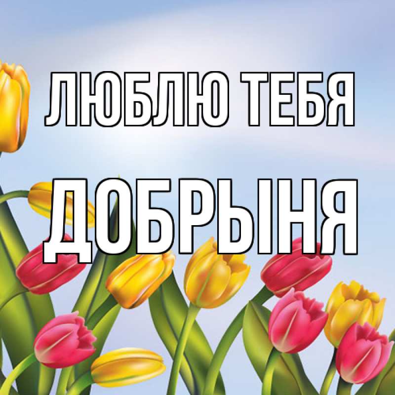 Картинка Люблю тебя, Добрыня