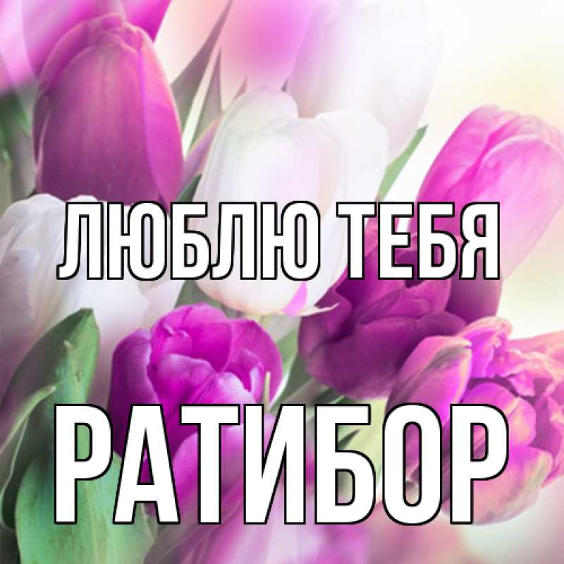 Картинка Люблю тебя, Ратибор