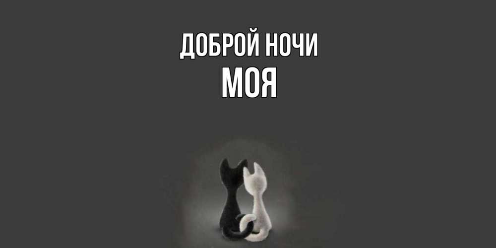 Открытка на каждый день с именем, Моя Доброй ночи коты Прикольная открытка с пожеланием онлайн скачать бесплатно 