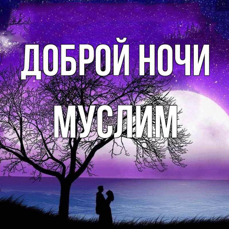 Картинка Доброй ночи, Муслим