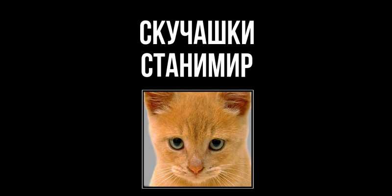 Картинка Скучашки, Станимир